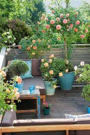 Balkon Rosen Gestaltung Ideen Pflanzen Blument Pfe Sichtschutz Modern Garden Modern Garden Desig In 2020 Small Balcony Garden Flower Garden Design Small Garden Design