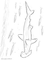 You can print or color them online at. Hammerhead Shark Coloring Pages Coloring Pages Printable Com