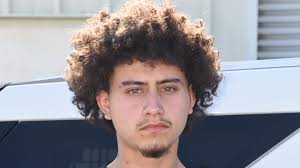 Man arrested for beating victim with a bat, stealing his car in Fresno  County