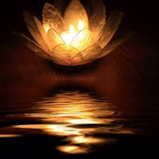 I Live My Life In Widening Circles That Reach Out Across The World Zen Namaste Buddhism
