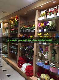 pin by ورد الخال تنفيذ ديكورات on تنفيذ محل سلة المواسم جده الهنداويك plants aquarium