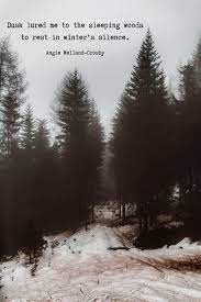 Winter Quotes To Make The Soul Sparkle Winter Quotes Nature Quotes Beautiful Snow Quotes