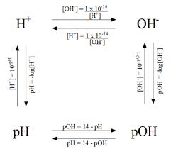 Calculations Of Ph Poh H And Oh