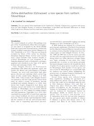 Image result for Ochna rovumensis