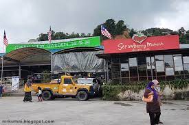 See all things to do. Mrkumai Blogspot Com Green View Garden Blue Valley Cameron Highlands
