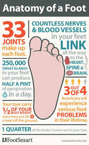 How Well Do You Know Your Own Two Feet Take Time To Give Your Feet Proper Foot Care As They Re The Only Pair You Have Feet Care Massage Benefits Anatomy