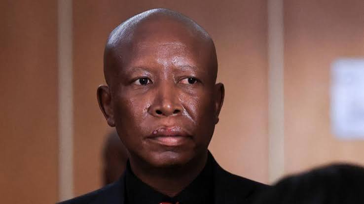 Julius Malema: South African opposition figure sentenced to five years - BBC News