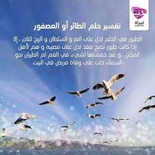 donya imraa دنيا امرأة on instagram تعرفي معنا على تفسير حلم الطائر أو العصفور تفسير الأحلام الأحلام طائر عصفور دن movie posters uji movies