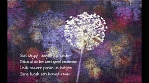 Güzel sözler sitemizin bu sayfasını yeryüzünün süsü olan çiçeklere ayırdık. Merve Calkan Bazi Cicekler Koparilmali Sarki Sozleri Youtube