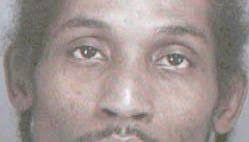 Robbery suspect hit by tractor-trailer