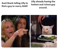 Storm And Silence Meme Aunt Brank In 2020 Funny Laugh Storm And Silence Memes