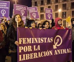 Resultado de imagem para manifestação animalistas
