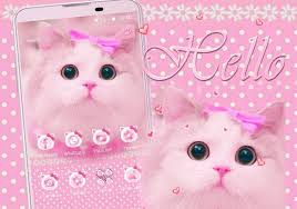 Di bawah ada beragam gambar kucing lucu dan keren loh untuk kamu koleksi. Pin Oleh Syifa Aulia Di Simpan Cepat Di 2021 Kucing Lucu Wallpaper Kucing Kucing