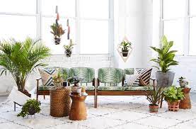Tanaman hias daun kini menjadi alternatif yang digunakan sebagian orang untuk membuat ruangannya menjadi lebih asri. 10 Tanaman Indoor Untuk Hias Interior Rumah Popmama Com