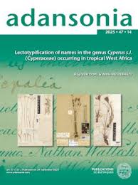 Image result for Pycreus melas