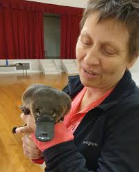 ARI Aquatic Quarterly Update