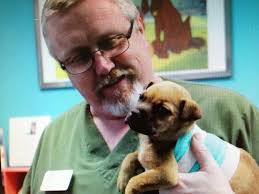 Care More Animal Hospital