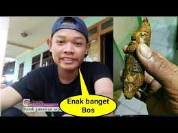 Buku mimpi 2d abjad bergambar lebih lengkap tafsir mimpi 2d abjad maupun erek erek 2d.buku mimpi 3d bergambar. Video Kotoran Manusia