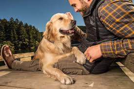 Maybe you would like to learn more about one of these? Banfield Pet Hospital 20 W University Parkway Orem Ut 84058