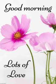 Maybe you would like to learn more about one of these? Best Good Morning Hd Images Wishes Pictures And Greetings