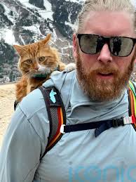 Rescue cat becomes online hit after turning to life of adventure by skiiing  and paddle boarding with its active owners