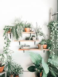 4 Mobile Desktop Lightroom Presets Mint Bedroom Plants Decor Plant Wall Decor Plant Decor Indoor