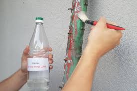 Will Vinegar Remove Paint From Metal House Trick