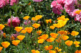 How To Create The English Gardens Of Your Dreams Food Life Design