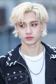 Straykids Bangchan Stray Stray Kids Chan Chris Chan