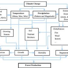 Flow Chart Of Climate Change Impacts On Forest Ecosystem