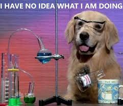 Chemistry Dog Meme Dog Memes Real Estate Memes Memes