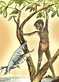 7 tonga further off continually fights 10 stir up samoa; Sina Her White Seagull Gogosina And Her Many Brothers Samoan Mythology