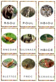 Epingle Sur Vocabulaire Lexique