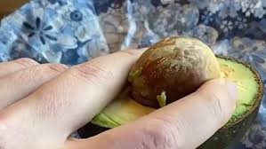 Secretary of state for housing, communities & local government and the world has rightly come a long way since climate concerns were a fringe issue, chancellor sajid javid writes. Here S How To Remove The Stone From An Avocado With Just One Hand Metro Video