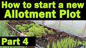 Start A New Allotment Plot | Allotment Garden | Managing Expectations |  Perfect Bed Sizes | Part 3 - Youtube