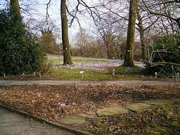 Foto de botanischer garten, wuppertal: Botanischer Garten Wuppertal Wikiwand