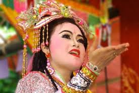 Dan Tranh 16-string zither