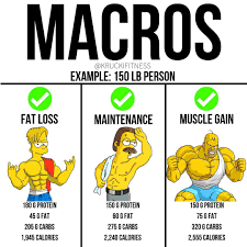 Proper regimented meal prep ensures you're getting the right macronutrients in the right amounts: Pin On Nom Nom Nom