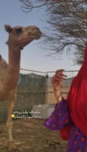 Pin By Bayan On صور In 2020 Profile Picture For Girls Arabian Beauty My Pictures