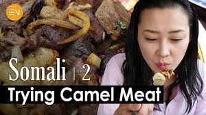 Hi what is the price for the camel plate in dubai zawan restuarent. Trying Camel Meat For The First Time Somali Food Experience Youtube