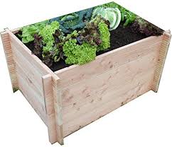 Hochbeet Selber Bauen Schritt Fur Schritt Anleitung In 2020 Hochbeet Hochbeet Selber Bauen Gruner Garten