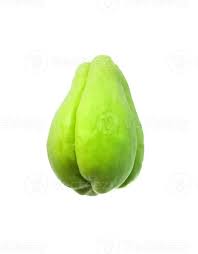 Image result for Sechium