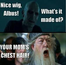 The best memes from instagram, facebook, vine, and twitter about harry potter hair. Harry Potter Meme Gif Book His Mom S Chest Hair Wattpad