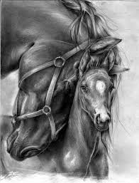 Realistic Animal Pencil Drawings 36 Pencil Drawings Of Animals Horse Drawings Equine Art