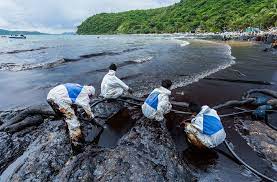 Bacteria que consume petroleo puede ayudar a limpiar la contaminación y los  derrames - Vista al Mar