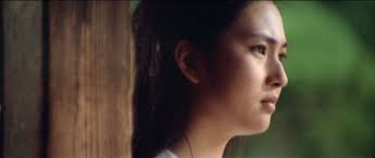 Setsuled's Journal: A Yakuza's Land