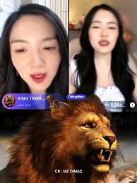 Litwithgrams Tigers Game