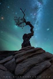 Derek Sturman photography (sturmanphoto)