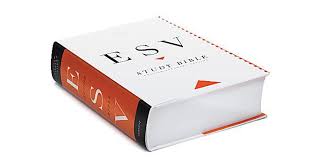 With over 1 million users worldwide, bible in one year is the leading daily bible reading app. The 10 Best Study Bibles Of 2021