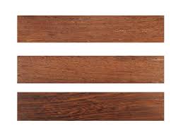 Image result for Millettia stuhlmannii